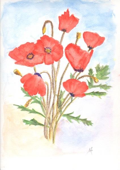 Coquelicot, joli coquelicot Aquarelle d'hiver...