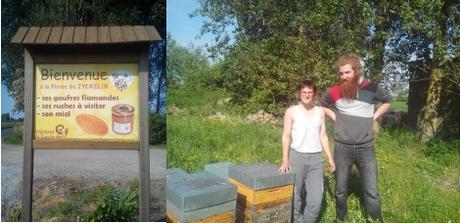 Retour du miel! Retour du miel!