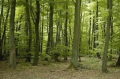 Cheminement intérieur littérature