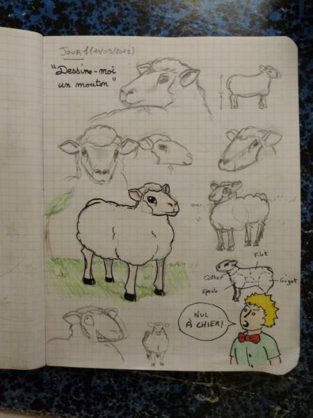 Un Dessin Par Jour, Jour 1 : Mouton