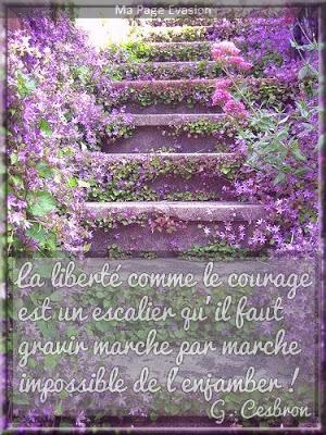 La liberté comme le courage est un escalier qu'il faut gravir marche par marche impossible de l'enjamber ! Gilbert Cesbron