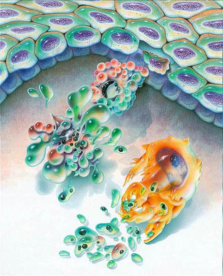 Curcumine ou curcuma contre le cancer Apoptose cellulaire