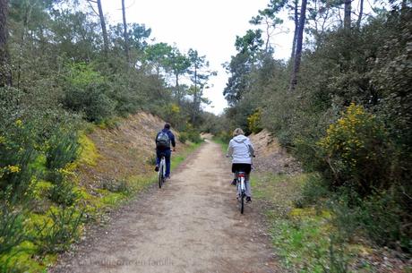 saint-jean-de-monts-vendee-velo