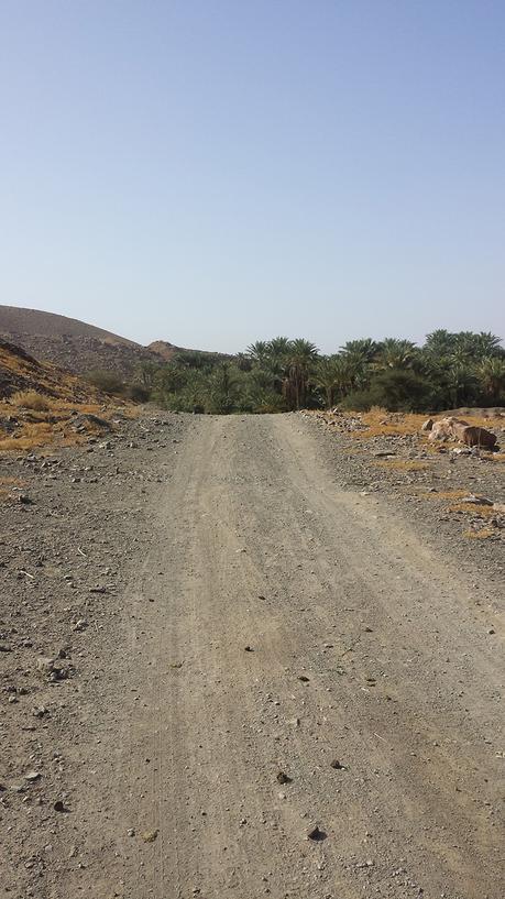 Maroc : Voyage en Terre Inconnue voyage-maroc-trip-2015-folkr-59