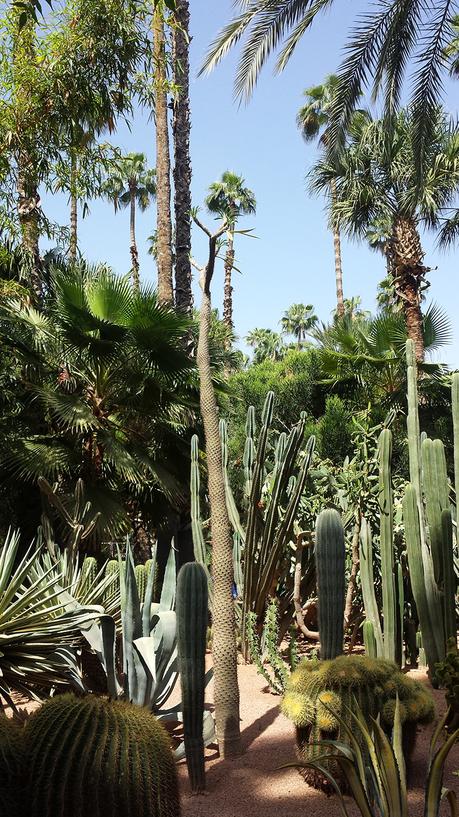 Maroc : Voyage en Terre Inconnue voyage-maroc-trip-2015-folkr-15