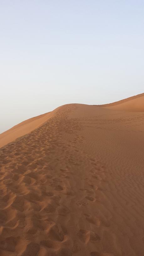 Maroc : Voyage en Terre Inconnue voyage-maroc-trip-2015-folkr-55