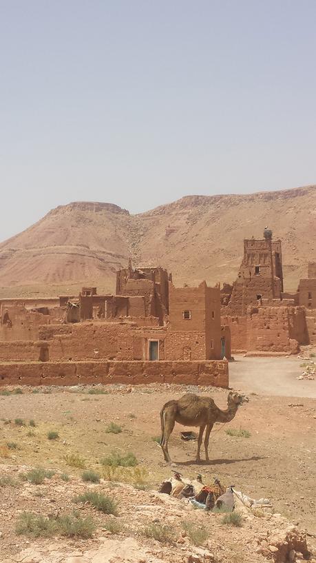 Maroc : Voyage en Terre Inconnue voyage-maroc-trip-2015-folkr-42