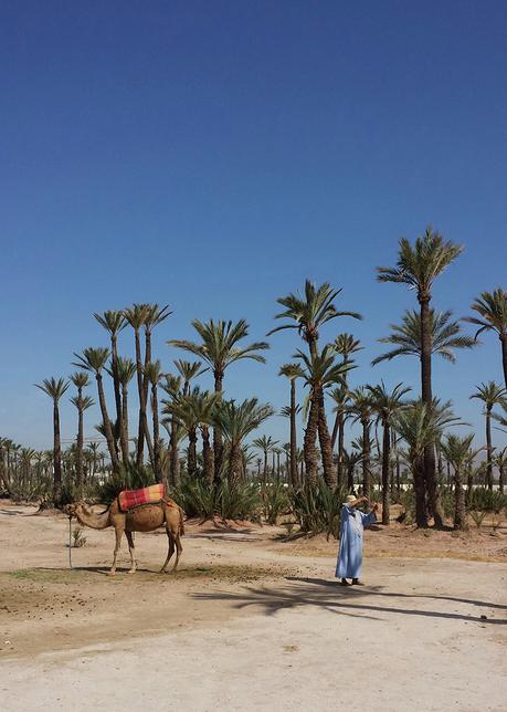 Maroc : Voyage en Terre Inconnue voyage-maroc-trip-2015-folkr-05