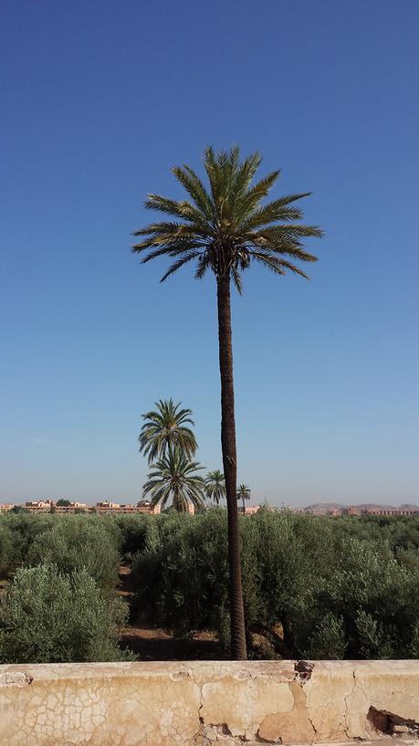 Maroc : Voyage en Terre Inconnue voyage-maroc-trip-2015-folkr-03