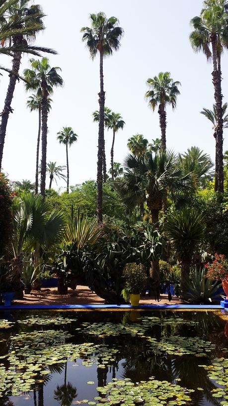 Maroc : Voyage en Terre Inconnue voyage-maroc-trip-2015-folkr-09