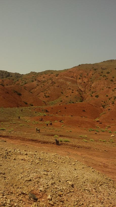 Maroc : Voyage en Terre Inconnue voyage-maroc-trip-2015-folkr-29