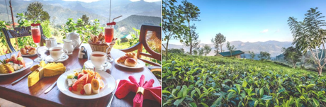 Le Madulkelle Tea & Eco Lodge, expérience d’évasion unique au Sri Lanka srilanka2