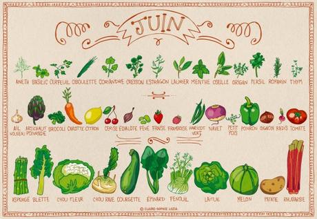 Calendrier des fruits et légumes en Juin Calendrier des fruits et légumes en Juin