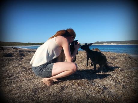 Esperance, Lucky Bay et Wave Rock : dans le sud de la Western Australia photo kangourou