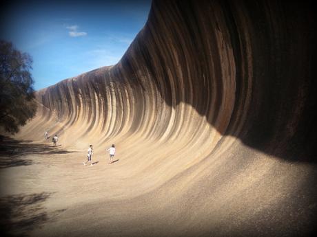 Esperance, Lucky Bay et Wave Rock : dans le sud de la Western Australia 20150326_140957