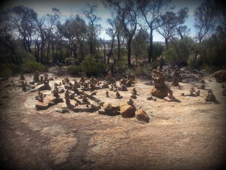 Esperance, Lucky Bay et Wave Rock : dans le sud de la Western Australia 20150326_140114