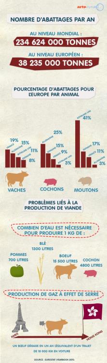 Arte : le mode de vie vegan Arte : le mode de vie vegan