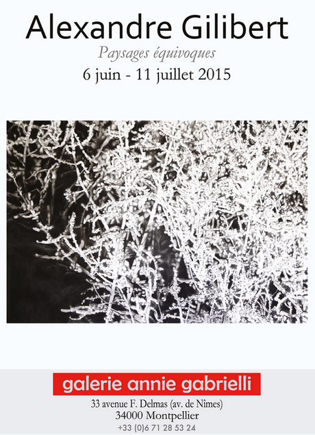 Exposition Alexandre Gilibert à la Galerie Annie Gabrielli Exposition Alexandre Gilibert à la Galerie Annie Gabrielli
