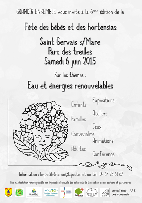 Fête des Bébés et des Hortensias à Saint Gervais s/mare Fête des Bébés et des Hortensias à Saint Gervais s/mare