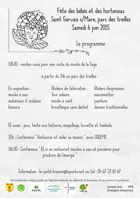Fête des Bébés et des Hortensias à Saint Gervais s/mare Fête des Bébés et des Hortensias à Saint Gervais s/mare