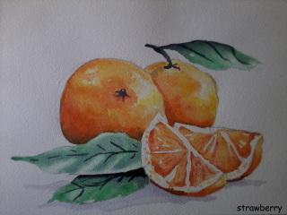 Oranges à l'aquarelle Image and video hosting by TinyPic