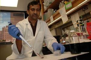 La curcumine et la science science curcumine