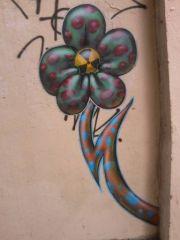 fleur_radioactive.jpg, mai 2011 fleur_radioactive.jpg