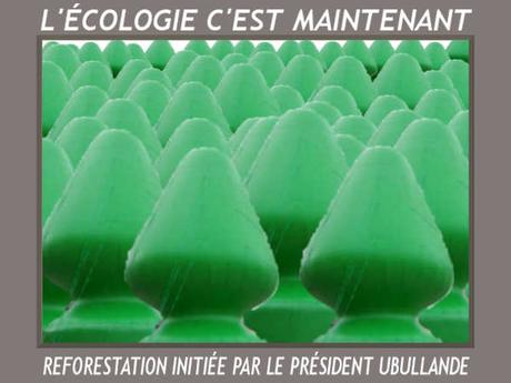 foret_hollandaise.jpg, nov. 2014 foret_hollandaise.jpg