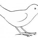 dessin de oiseau