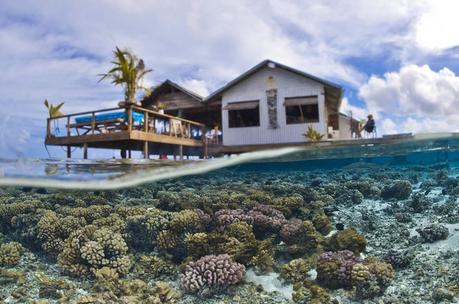 COP 21: on a oublié d’inviter l’océan !