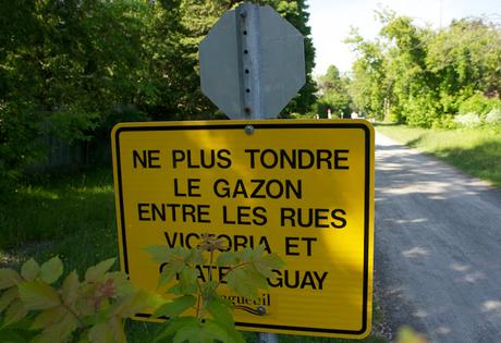 Flower Power : la biodiviersité à l'honneur dans le Vieux-Longueuil Flower Power : la biodiviersité à l'honneur dans le Vieux-Longueuil