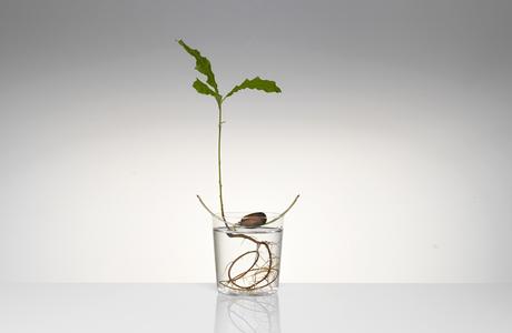 Discoveries No.5 Floating Forest – Michael Anastassiades Floating-Forest-Series-by-Michael-Anastassiades-05