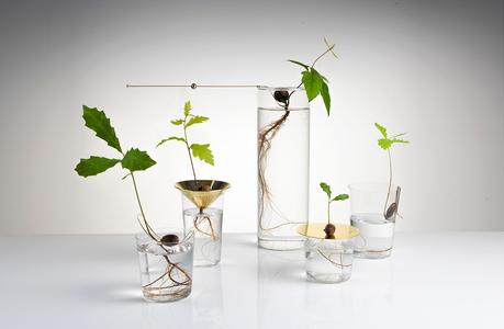 Discoveries No.5 Floating Forest – Michael Anastassiades Floating-Forest-Series-by-Michael-Anastassiades-00