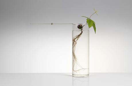 Discoveries No.5 Floating Forest – Michael Anastassiades Floating-Forest-Series-by-Michael-Anastassiades-06