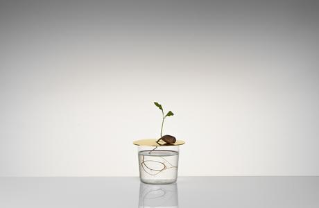 Discoveries No.5 Floating Forest – Michael Anastassiades Floating-Forest-Series-by-Michael-Anastassiades-04