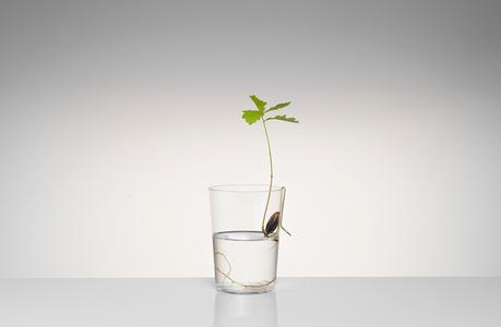 Discoveries No.5 Floating Forest – Michael Anastassiades Floating-Forest-Series-by-Michael-Anastassiades-02