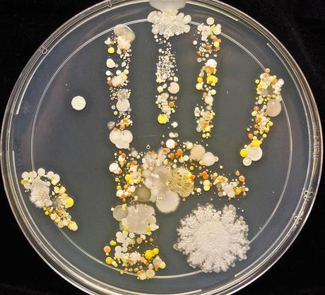 hand-print-bacteria-1