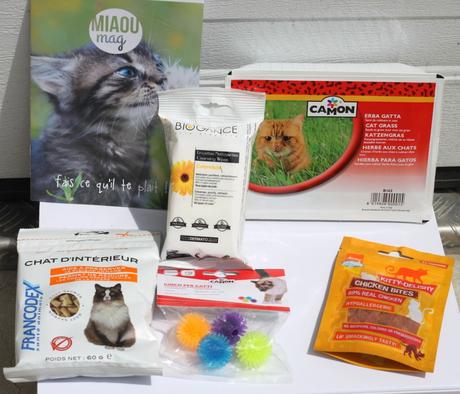 Miaoubox de Mai miaoubox-contenu