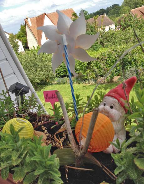 Notre petit jardin à la fenêtre de notre appart ! Mon petit jardin