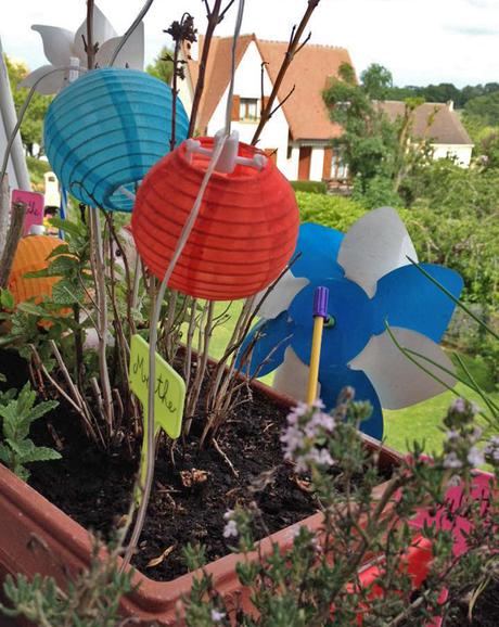 Notre petit jardin à la fenêtre de notre appart ! Mon petit jardin