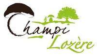 Pâtes fraîches aux champignons séchés Pâtes fraîches aux champignons séchés