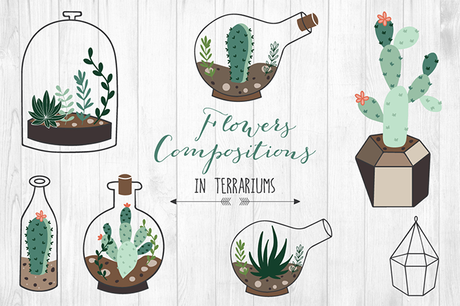 6 packs de graphiques succulentes et cactus