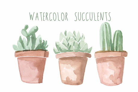 6 packs de graphiques succulentes et cactus