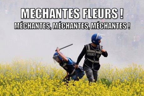 Un petit peu de violence méchantes fleurs
