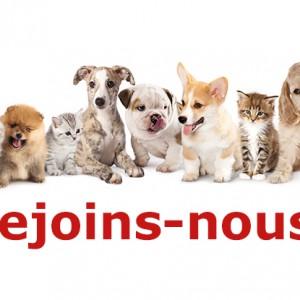 L’Erepday vous présente ses sponsors et partenaires de l’édition 2015 Nous recherchons un(e) Chef de projet en Community Management !
