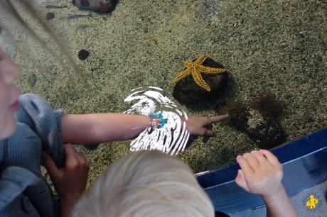 Biarritz avec des enfants – Pays Basque #2 Biarritz avec des enfants – Pays Basque #2