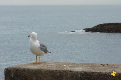 Biarritz avec des enfants – Pays Basque #2 Biarritz avec des enfants – Pays Basque #2