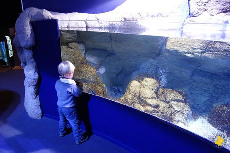 Biarritz avec des enfants – Pays Basque #2 Biarritz avec des enfants – Pays Basque #2