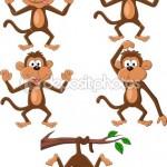 illustration de singe illustration de singe