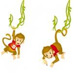 illustration de singe illustration de singe